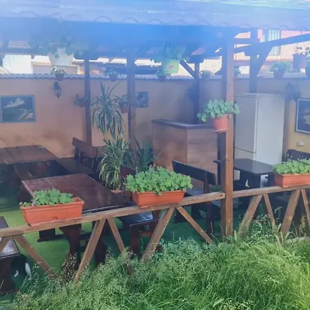 Pip Guest house *