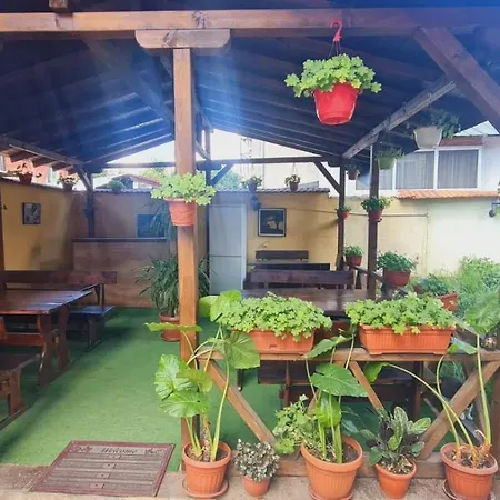 Pip Velingrad