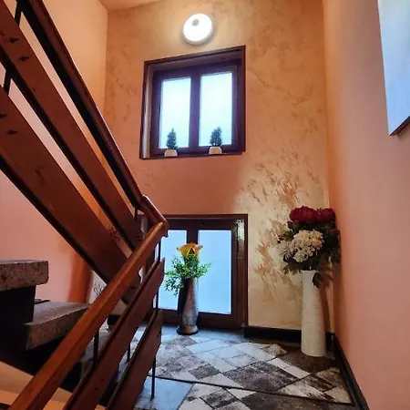 Pip Velingrad