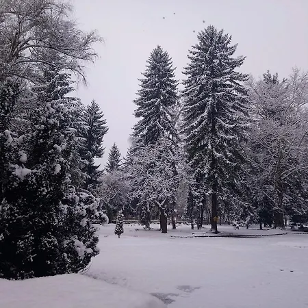 Guest house Pip Velingrad