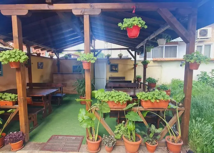 Pip Велинград