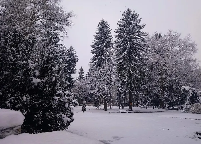 Гостевой дом Pip Велинград